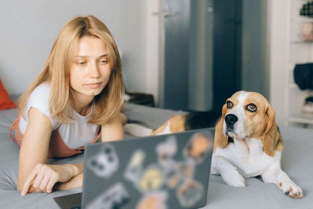 Photograph of a woman and her beagle dog sending an email to contact thorndale animal hospital.